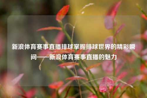新浪体育赛事直播排球掌握排球世界的精彩瞬间——新浪体育赛事直播的魅力