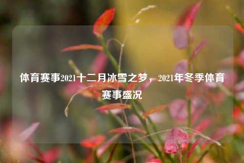 体育赛事2021十二月冰雪之梦，2021年冬季体育赛事盛况