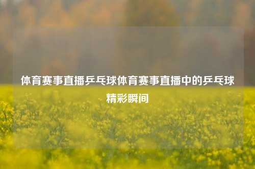 体育赛事直播乒乓球体育赛事直播中的乒乓球精彩瞬间