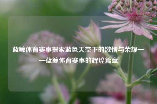 蓝鲸体育赛事探索蓝色天空下的激情与荣耀——蓝鲸体育赛事的辉煌篇章