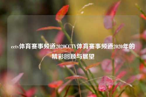 cctv体育赛事频道2020CCTV体育赛事频道2020年的精彩回顾与展望