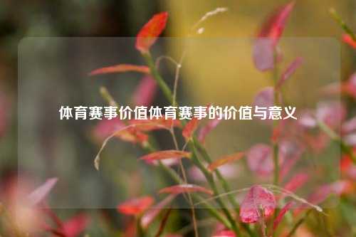 体育赛事价值体育赛事的价值与意义
