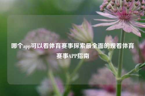 哪个app可以看体育赛事探索最全面的观看体育赛事APP指南