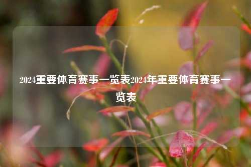 2024重要体育赛事一览表2024年重要体育赛事一览表