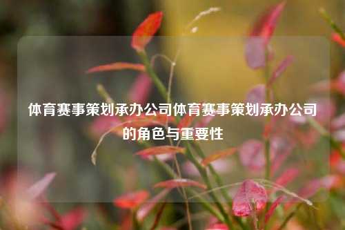 体育赛事策划承办公司体育赛事策划承办公司的角色与重要性