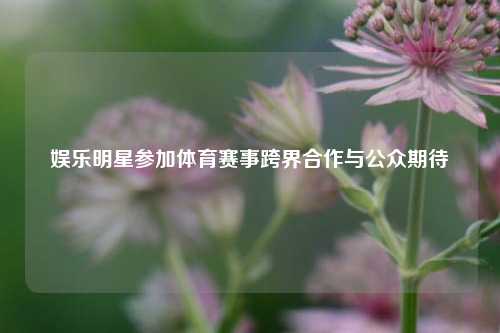 娱乐明星参加体育赛事跨界合作与公众期待