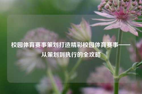 校园体育赛事策划打造精彩校园体育赛事——从策划到执行的全攻略