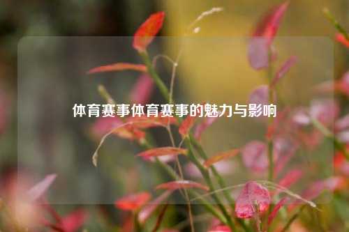 体育赛事体育赛事的魅力与影响