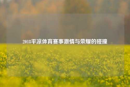 2018平凉体育赛事激情与荣耀的碰撞