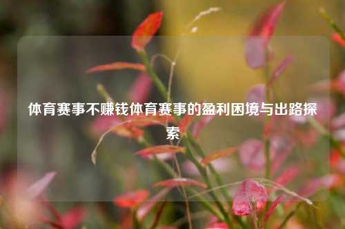 体育赛事不赚钱体育赛事的盈利困境与出路探索