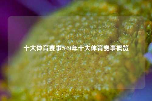 十大体育赛事2024年十大体育赛事概览
