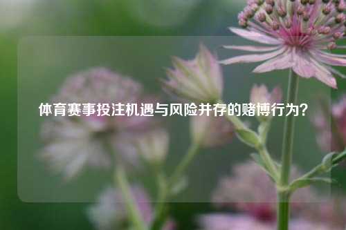 体育赛事投注机遇与风险并存的赌博行为？