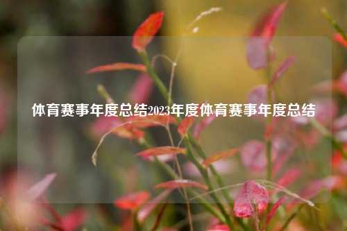 体育赛事年度总结2023年度体育赛事年度总结