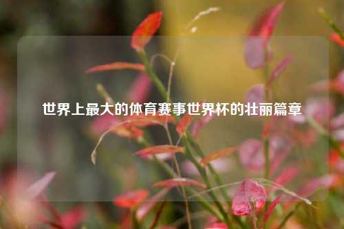世界上最大的体育赛事世界杯的壮丽篇章