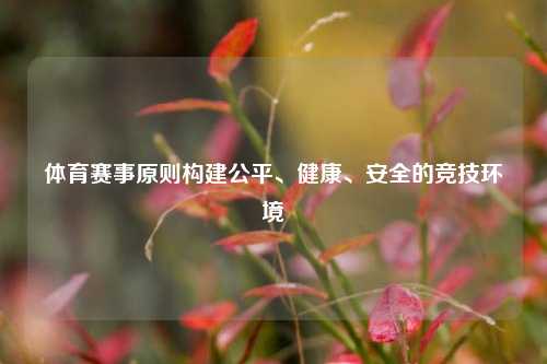体育赛事原则构建公平、健康、安全的竞技环境