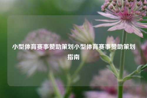 小型体育赛事赞助策划小型体育赛事赞助策划指南