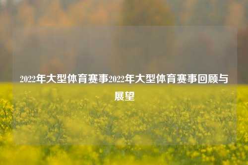 2022年大型体育赛事2022年大型体育赛事回顾与展望