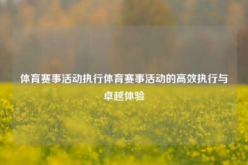 体育赛事活动执行体育赛事活动的高效执行与卓越体验