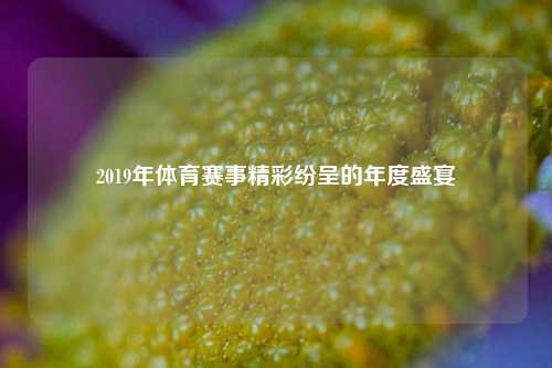 2019年体育赛事精彩纷呈的年度盛宴