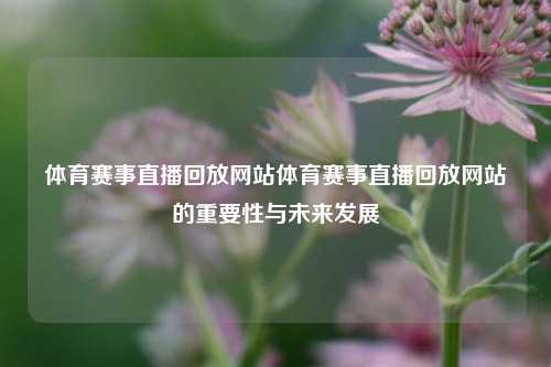 体育赛事直播回放网站体育赛事直播回放网站的重要性与未来发展