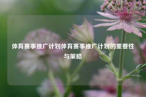 体育赛事推广计划体育赛事推广计划的重要性与策略