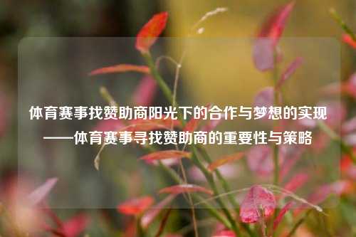 体育赛事找赞助商阳光下的合作与梦想的实现——体育赛事寻找赞助商的重要性与策略