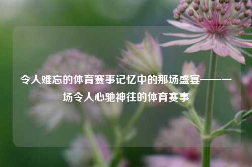 令人难忘的体育赛事记忆中的那场盛宴——一场令人心驰神往的体育赛事