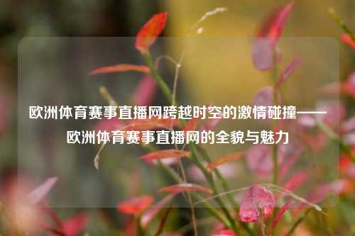 欧洲体育赛事直播网跨越时空的激情碰撞——欧洲体育赛事直播网的全貌与魅力