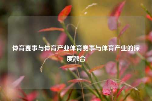 体育赛事与体育产业体育赛事与体育产业的深度融合