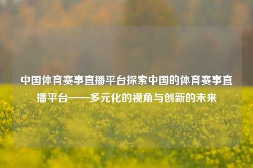 中国体育赛事直播平台探索中国的体育赛事直播平台——多元化的视角与创新的未来
