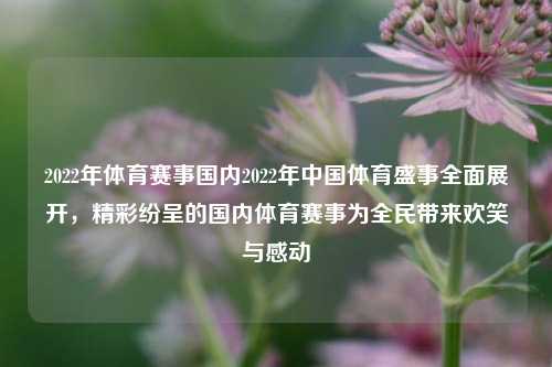 2022年体育赛事国内2022年中国体育盛事全面展开，精彩纷呈的国内体育赛事为全民带来欢笑与感动