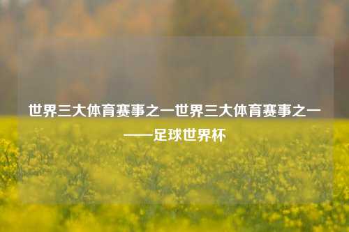 世界三大体育赛事之一世界三大体育赛事之一——足球世界杯
