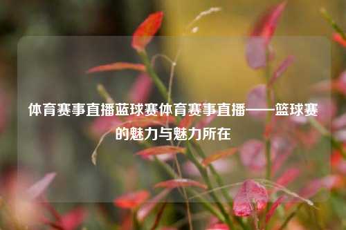 体育赛事直播蓝球赛体育赛事直播——篮球赛的魅力与魅力所在