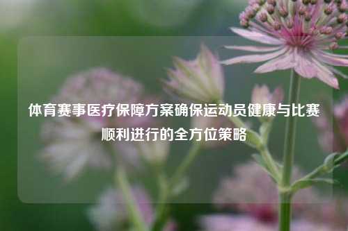 体育赛事医疗保障方案确保运动员健康与比赛顺利进行的全方位策略