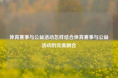 体育赛事与公益活动怎样结合体育赛事与公益活动的完美融合