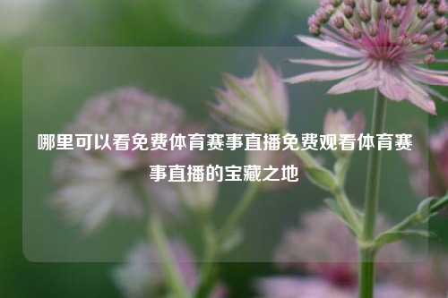 哪里可以看免费体育赛事直播免费观看体育赛事直播的宝藏之地