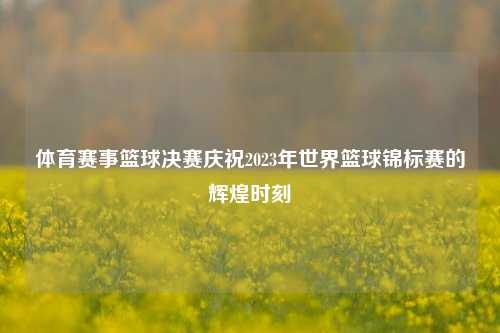 体育赛事篮球决赛庆祝2023年世界篮球锦标赛的辉煌时刻