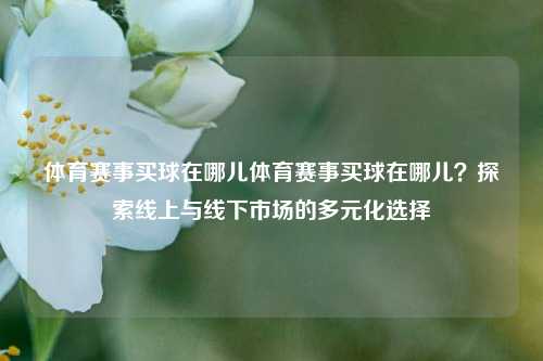 体育赛事买球在哪儿体育赛事买球在哪儿？探索线上与线下市场的多元化选择