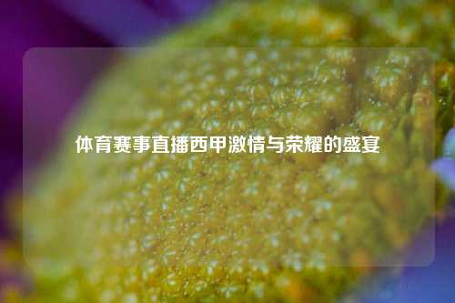 体育赛事直播西甲激情与荣耀的盛宴